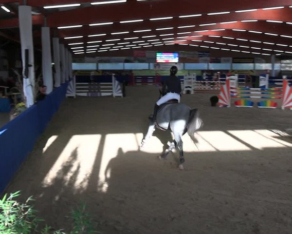 Reitturnier Isterberg 2023
