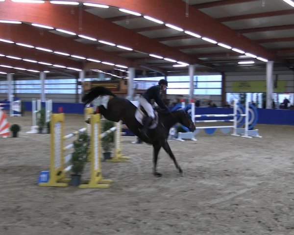 Reitturnier Isterberg 2023