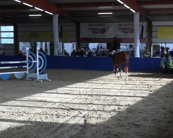 Reitturnier Isterberg 2023