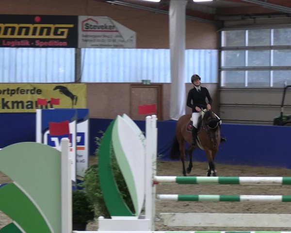 Reitturnier Isterberg 2023