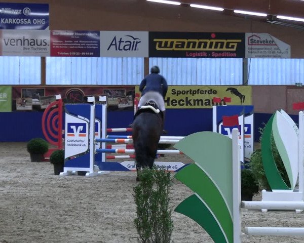 Reitturnier Isterberg 2023