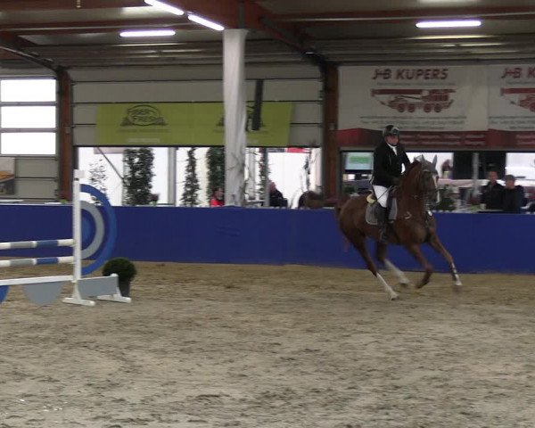 Reitturnier Isterberg 2023