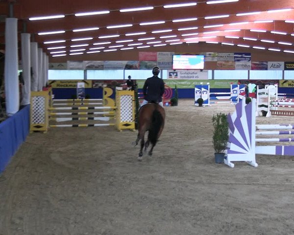 Reitturnier Isterberg 2023