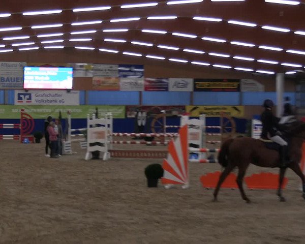 Reitturnier Isterberg 2023