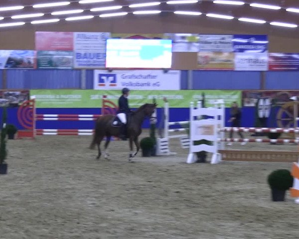 Reitturnier Isterberg 2023