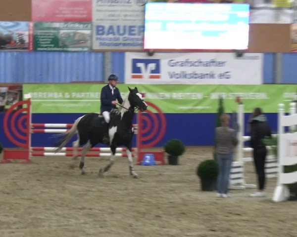 Reitturnier Isterberg 2023