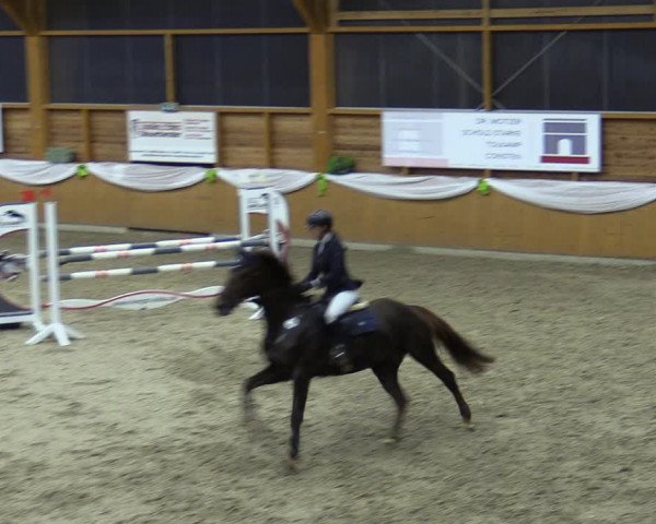 Reitturnier Xanten - Reitanlage Miss 2023