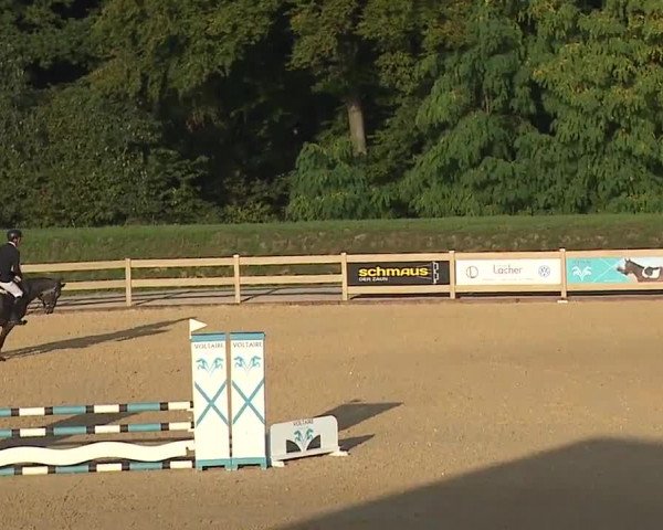 Reitturnier Tiefenhof/Opf. 2023