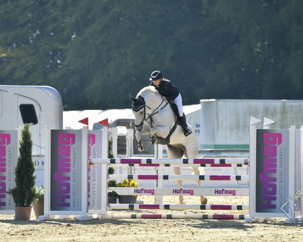 jumper Carlos 788 (Bavarian, 2013, from Colestus)