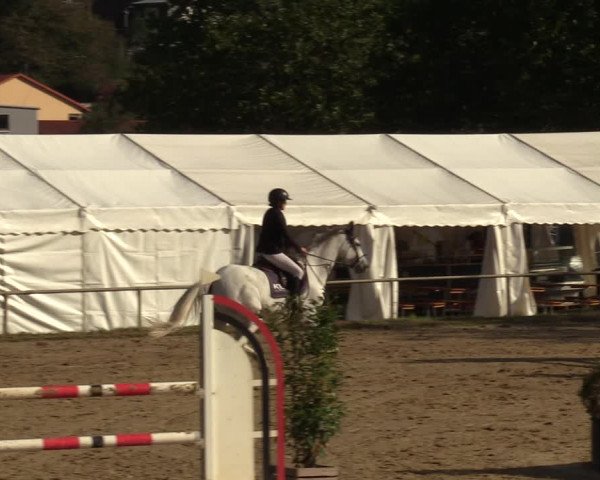 Reitturnier Heiligenwald 2023