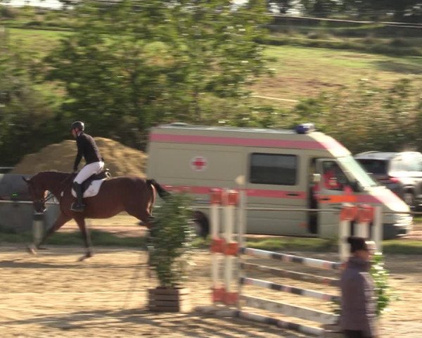 Reitturnier Heiligenwald 2023