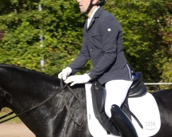 Reitturnier Heiligenwald 2023