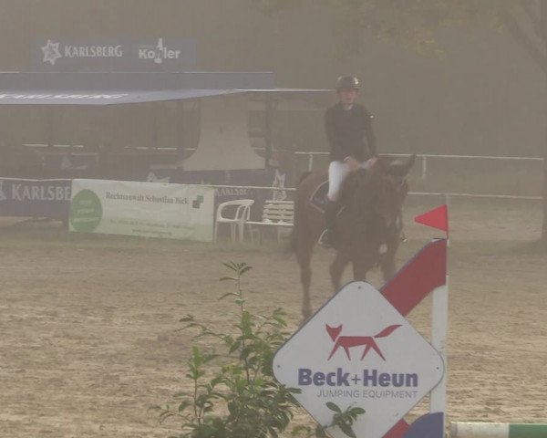 Reitturnier Heiligenwald 2023