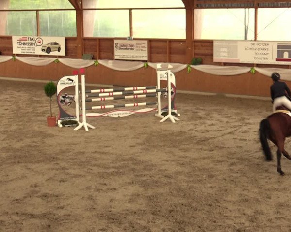 Reitturnier Xanten - Reitanlage Miss 2023