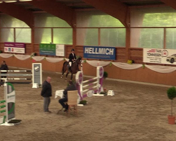 Reitturnier Xanten - Reitanlage Miss 2023