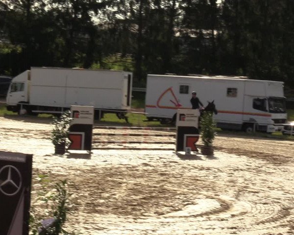 Reitturnier Heiligenwald 2023