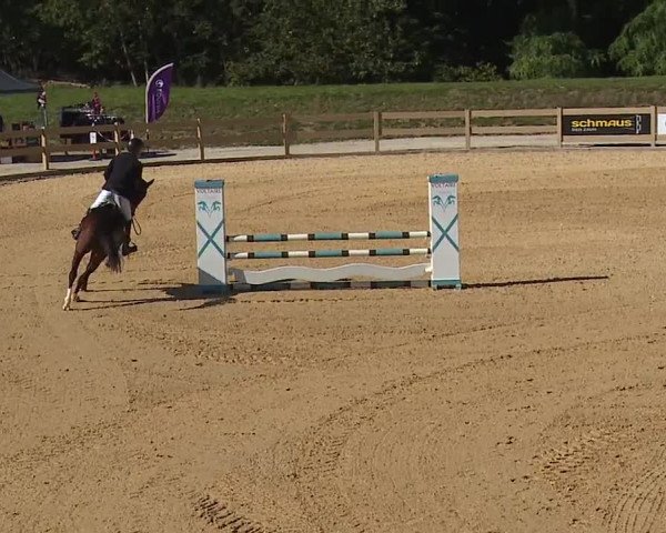 Reitturnier Tiefenhof/Opf. 2023