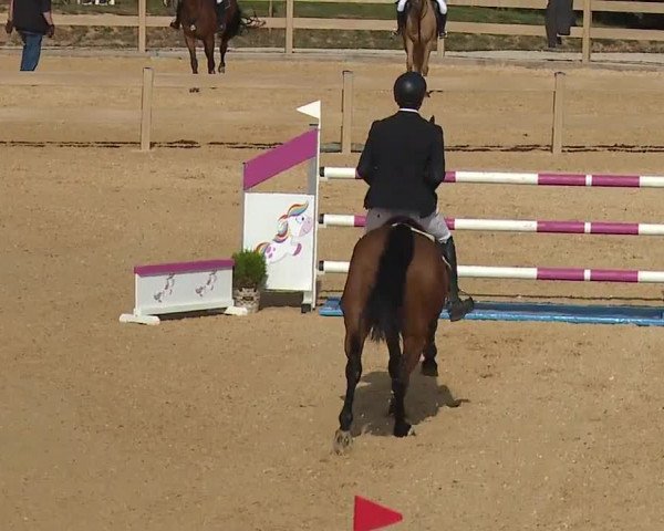 Reitturnier Tiefenhof/Opf. 2023
