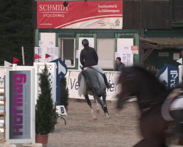 Reitturnier Ranshofen - Braunau am Inn 2023