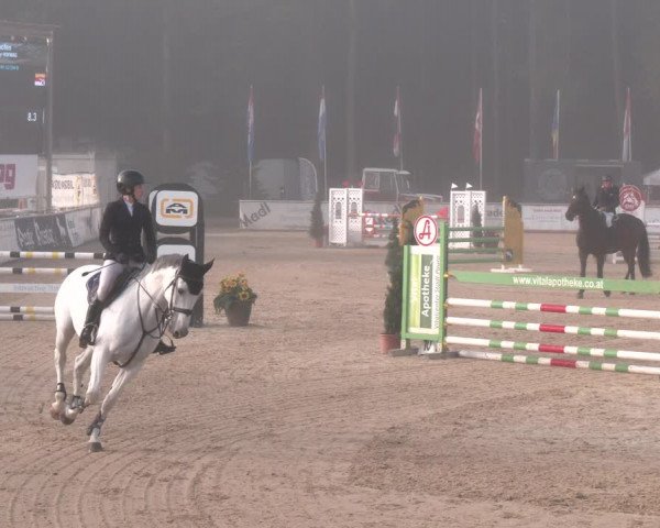 Reitturnier Ranshofen - Braunau am Inn 2023