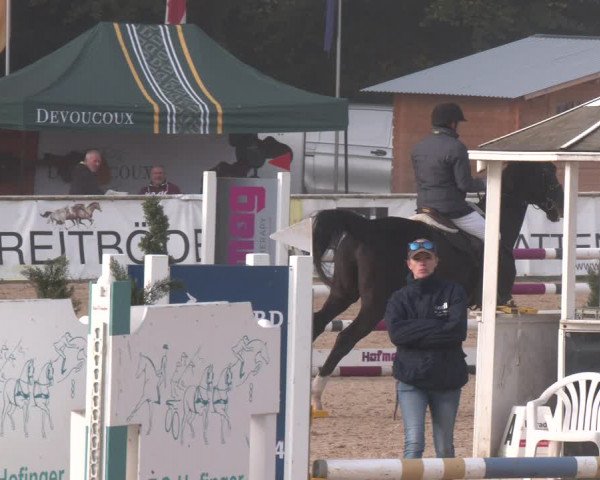 Reitturnier Ranshofen - Braunau am Inn 2023