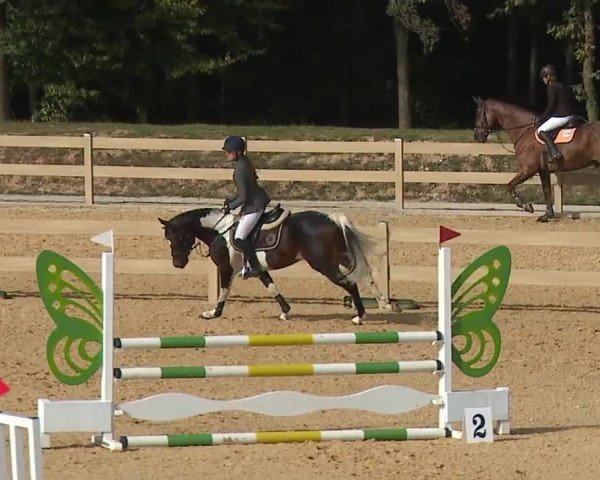 Reitturnier Tiefenhof/Opf. 2023