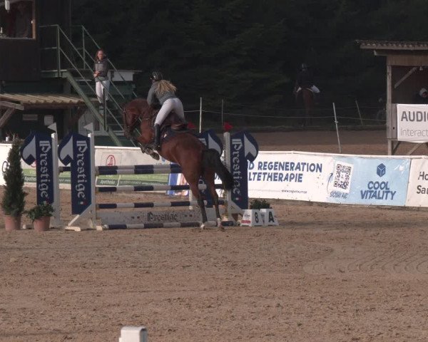 Reitturnier Ranshofen - Braunau am Inn 2023
