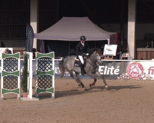 Reitturnier Ranshofen - Braunau am Inn 2023
