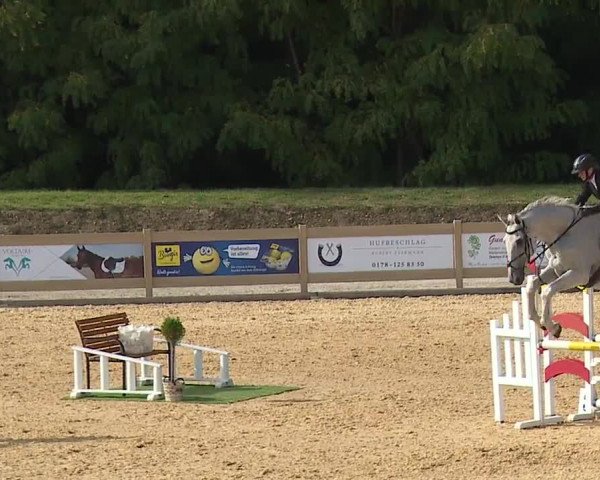 Reitturnier Tiefenhof/Opf. 2023