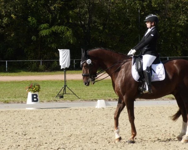 Reitturnier Heiligenwald 2023