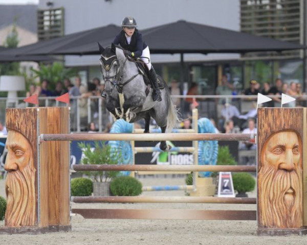 jumper Kandinsky (KWPN (Royal Dutch Sporthorse), 2015, from Orlando)
