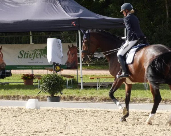 Reitturnier Heiligenwald 2023