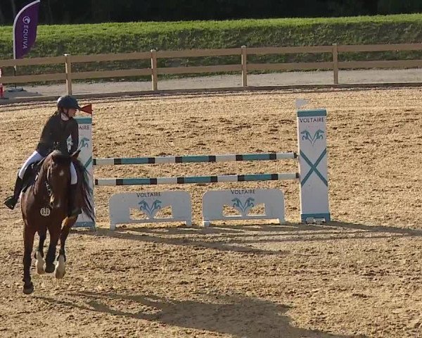 Reitturnier Tiefenhof/Opf. 2023