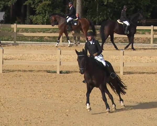 Reitturnier Tiefenhof/Opf. 2023