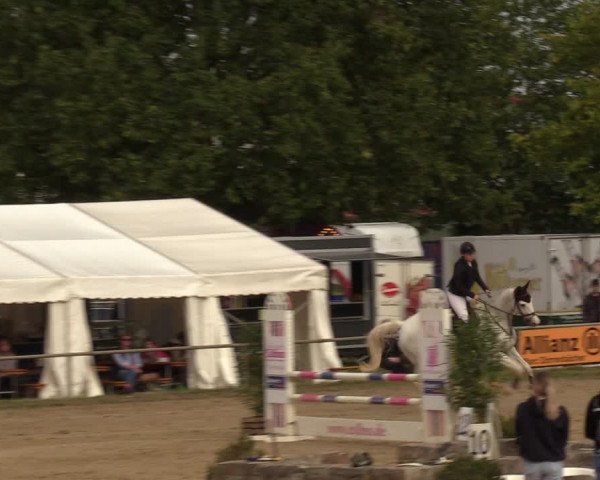 Reitturnier Heiligenwald 2023