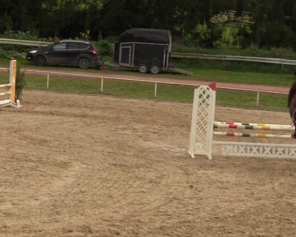 Reitturnier Heiligenwald 2023