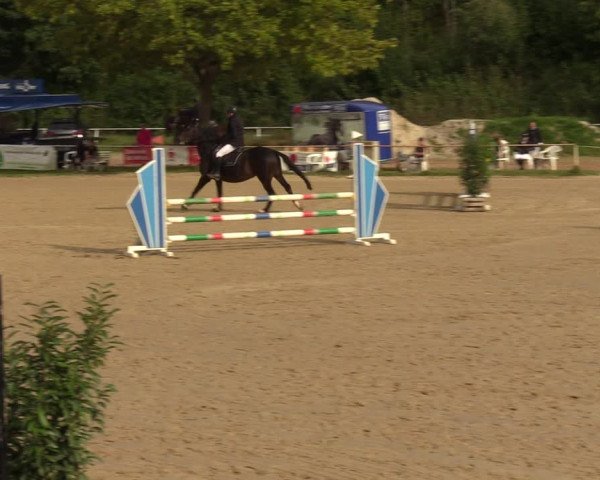 Reitturnier Heiligenwald 2023