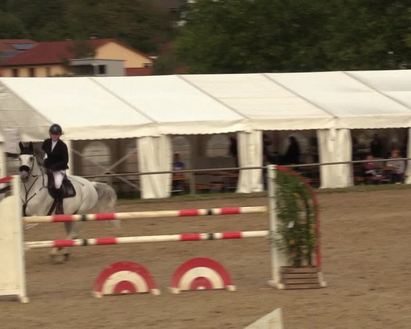 Reitturnier Heiligenwald 2023