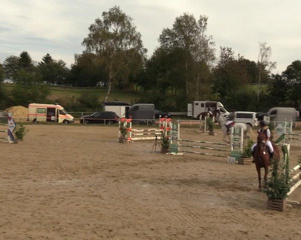Reitturnier Heiligenwald 2023
