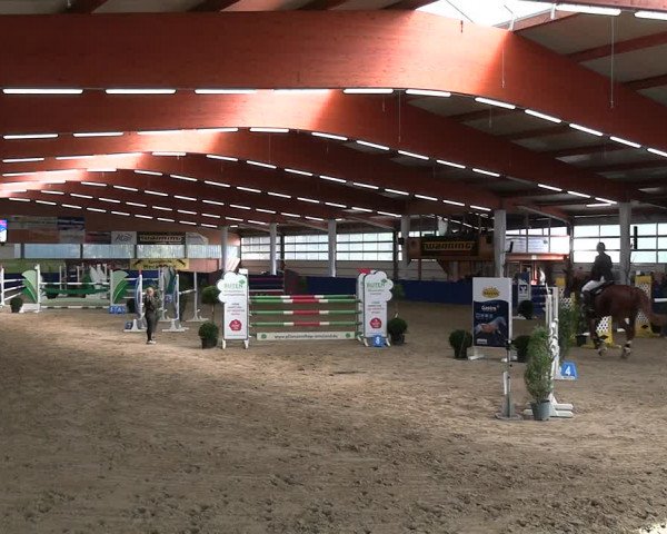 Reitturnier Isterberg 2023
