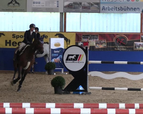 Reitturnier Isterberg 2023