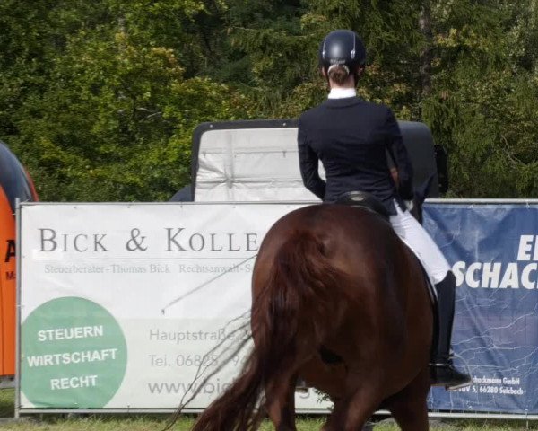 Reitturnier Heiligenwald 2023