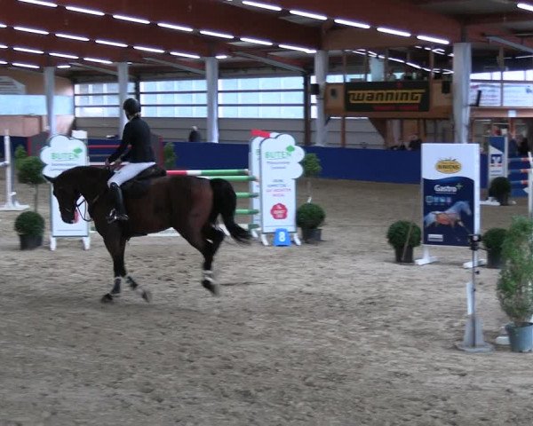 Reitturnier Isterberg 2023