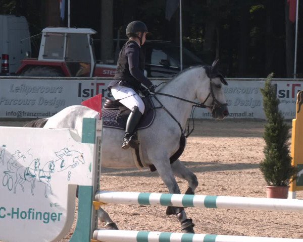 Reitturnier Ranshofen - Braunau am Inn 2023