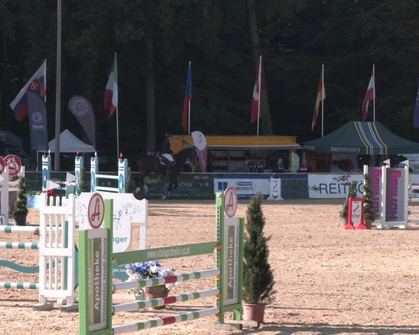 Reitturnier Ranshofen - Braunau am Inn 2023