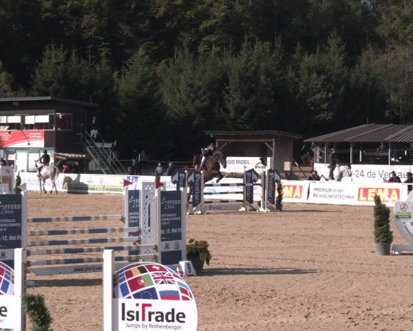 Reitturnier Ranshofen - Braunau am Inn 2023