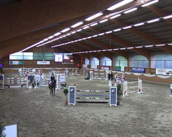 Reitturnier Xanten - Reitanlage Miss 2023