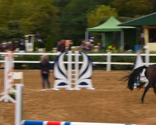 Reitturnier Teupitz 2023