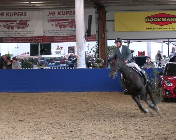 Reitturnier Isterberg 2023