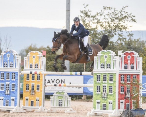 jumper Fornette de La Roche (Selle Français, 2015, from Cornet Obolensky)